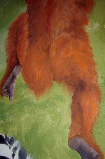 jungle.orangutang