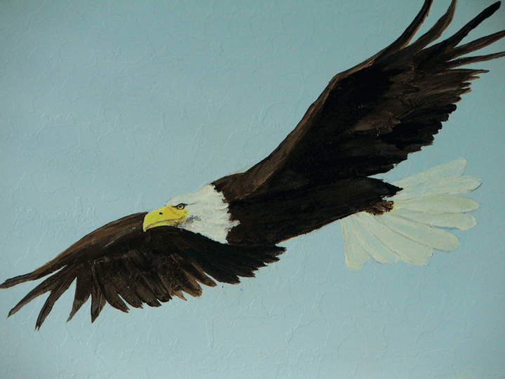 mountains.eagle-flying