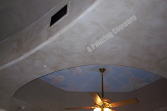 Faux_finished_ceiling_apc_wm